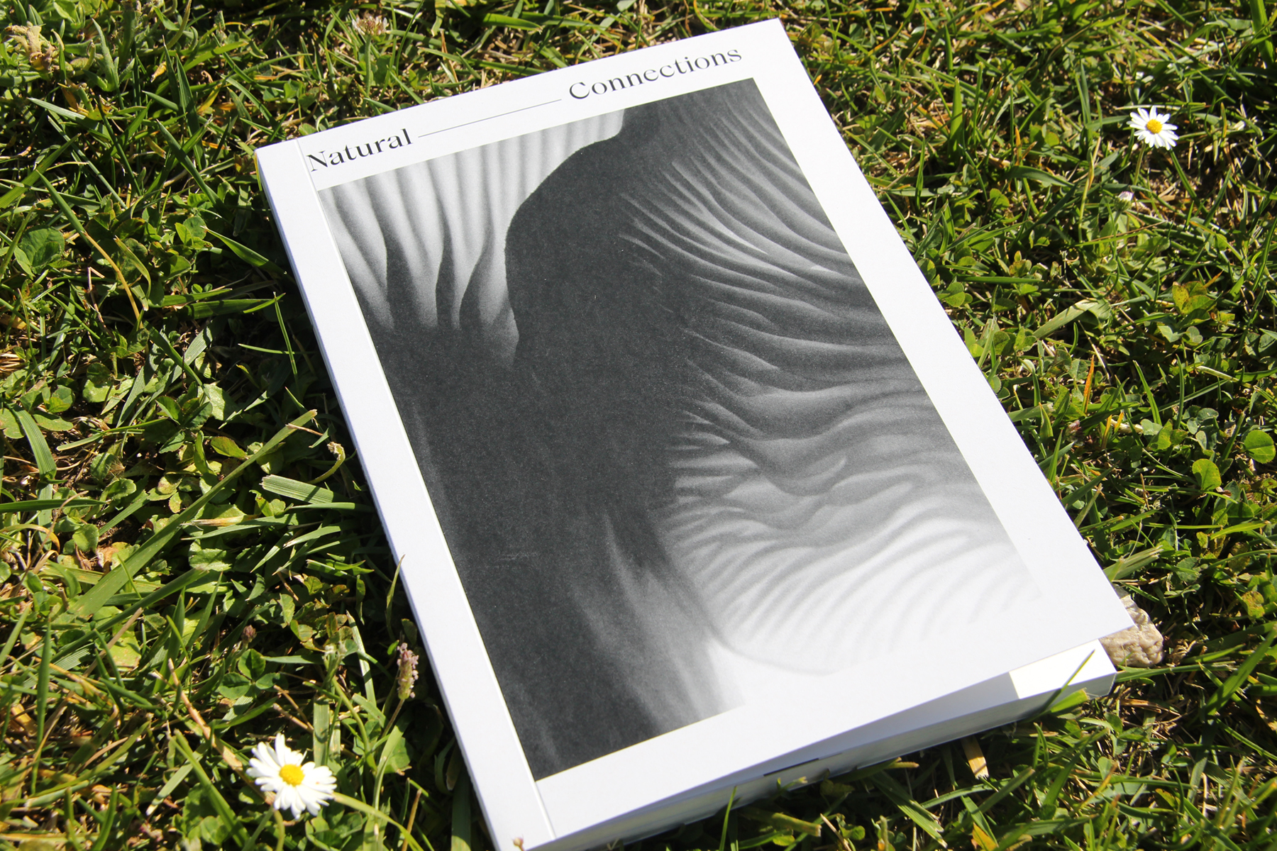 NaturalConnections-cover