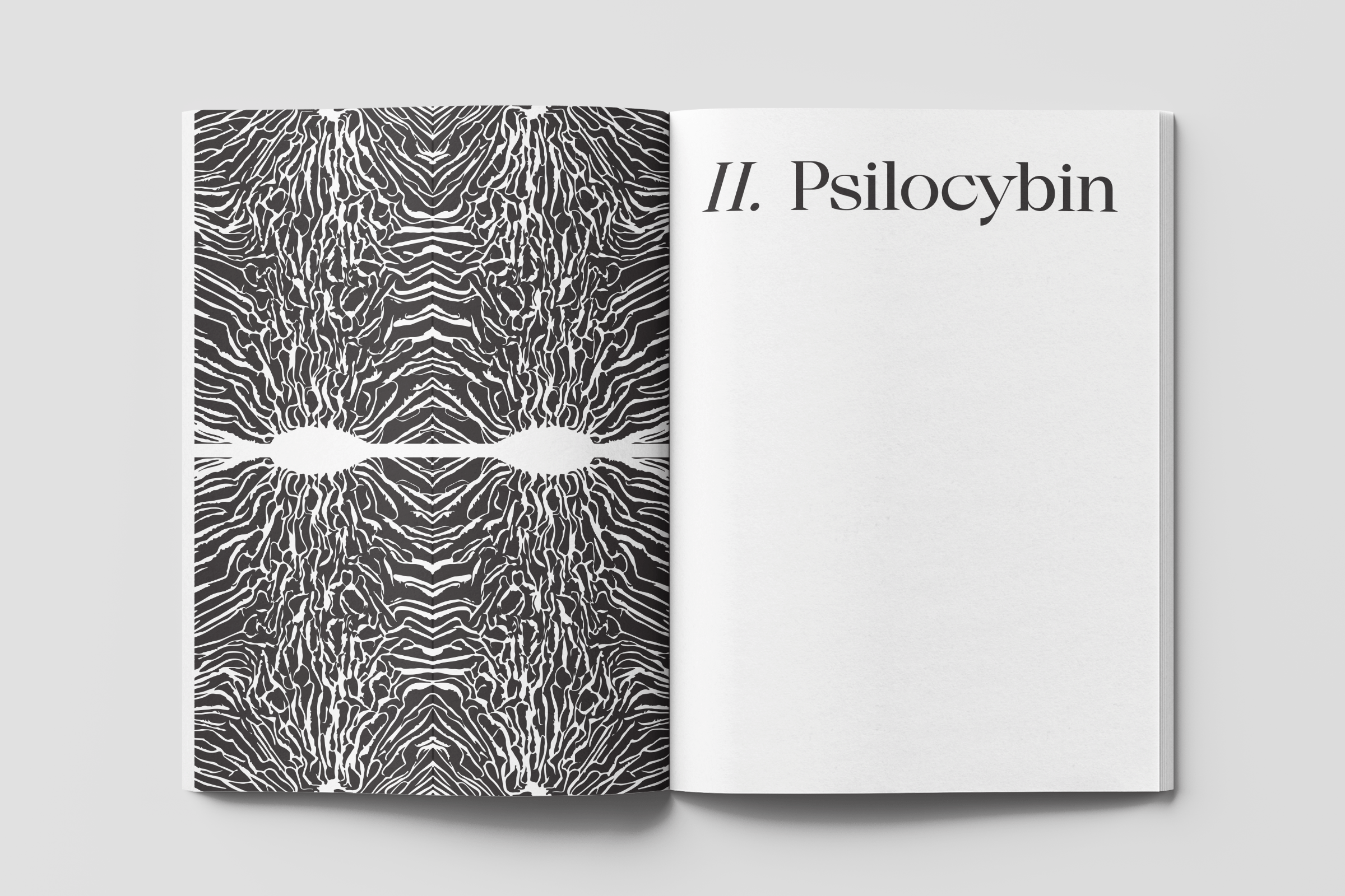 Natural-Connections1