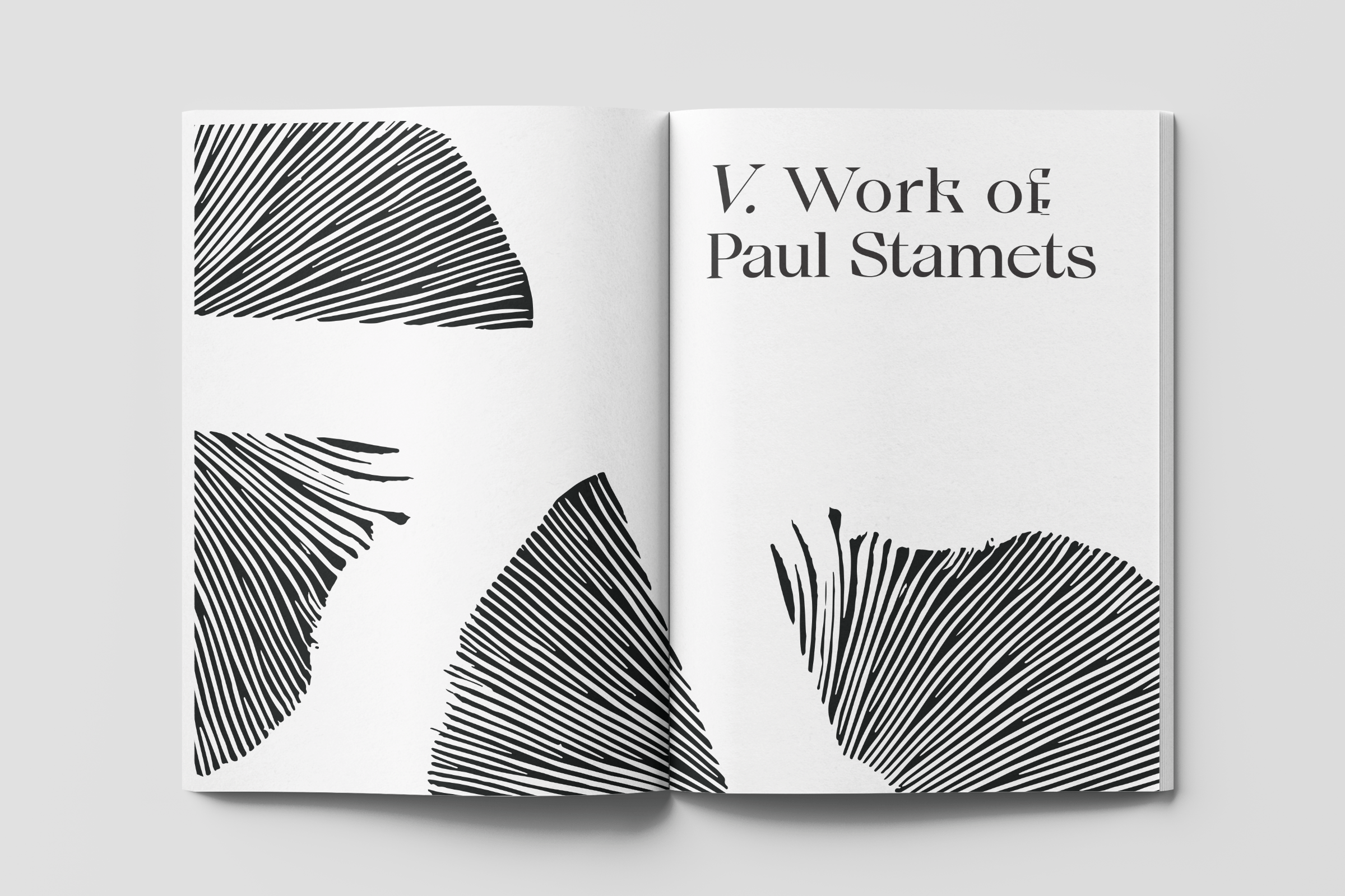 Natural-Connections4