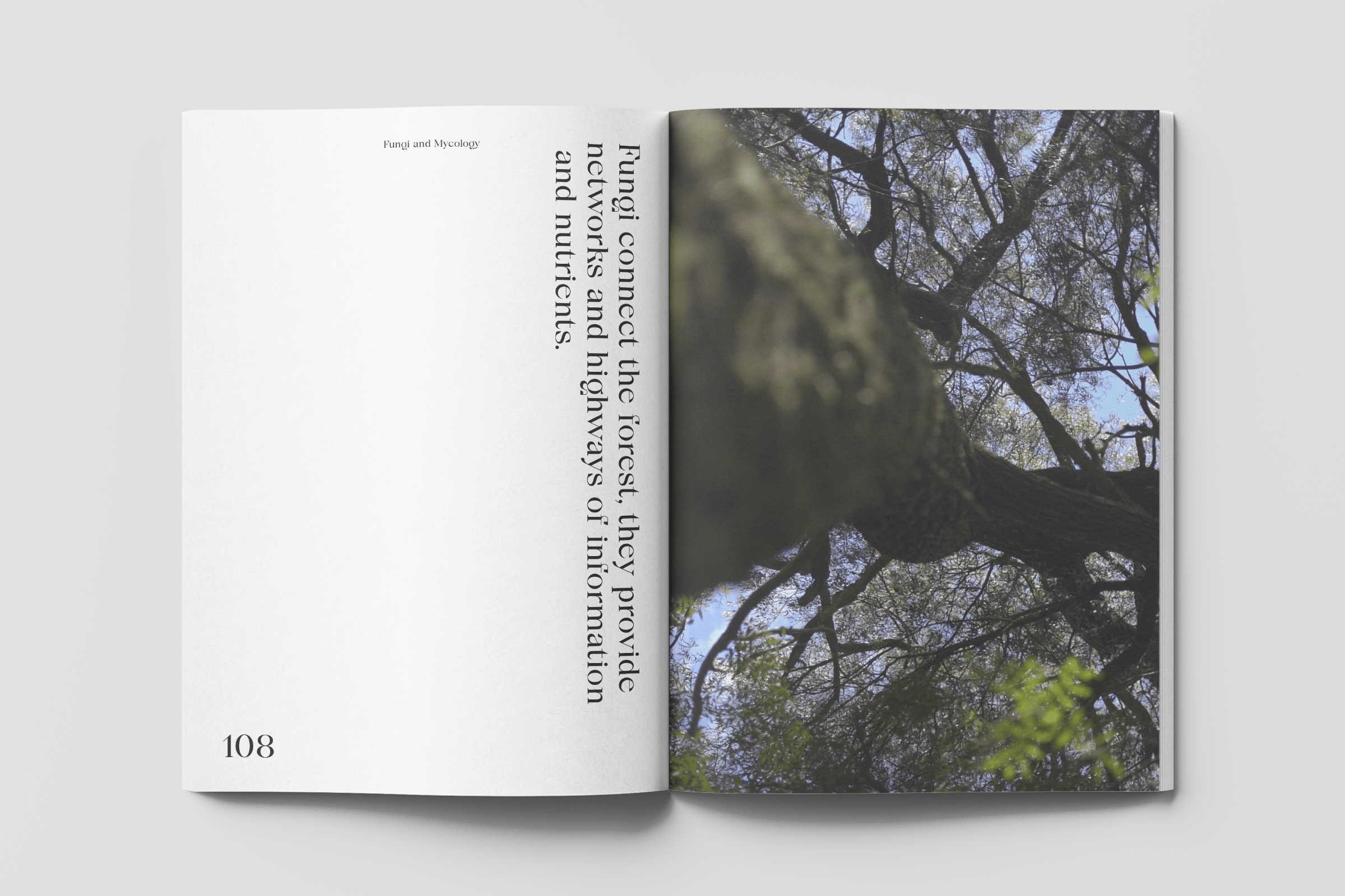 Natural-Connections7