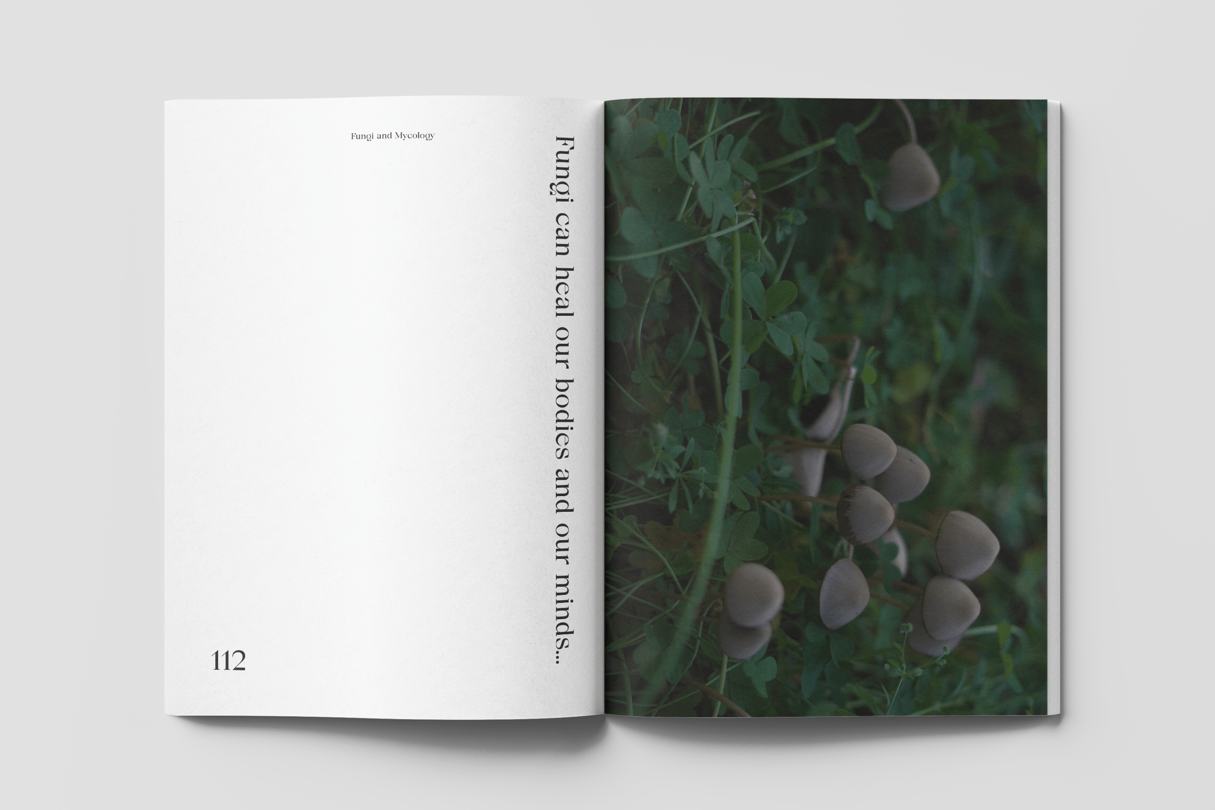 Natural-Connections8